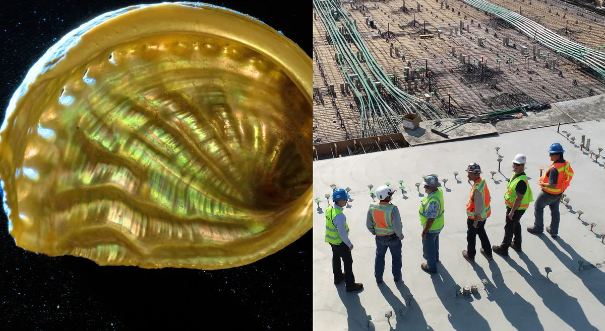 Innovatie in bouwmaterialen: betonnen constructies geïnspireerd door parelmoer