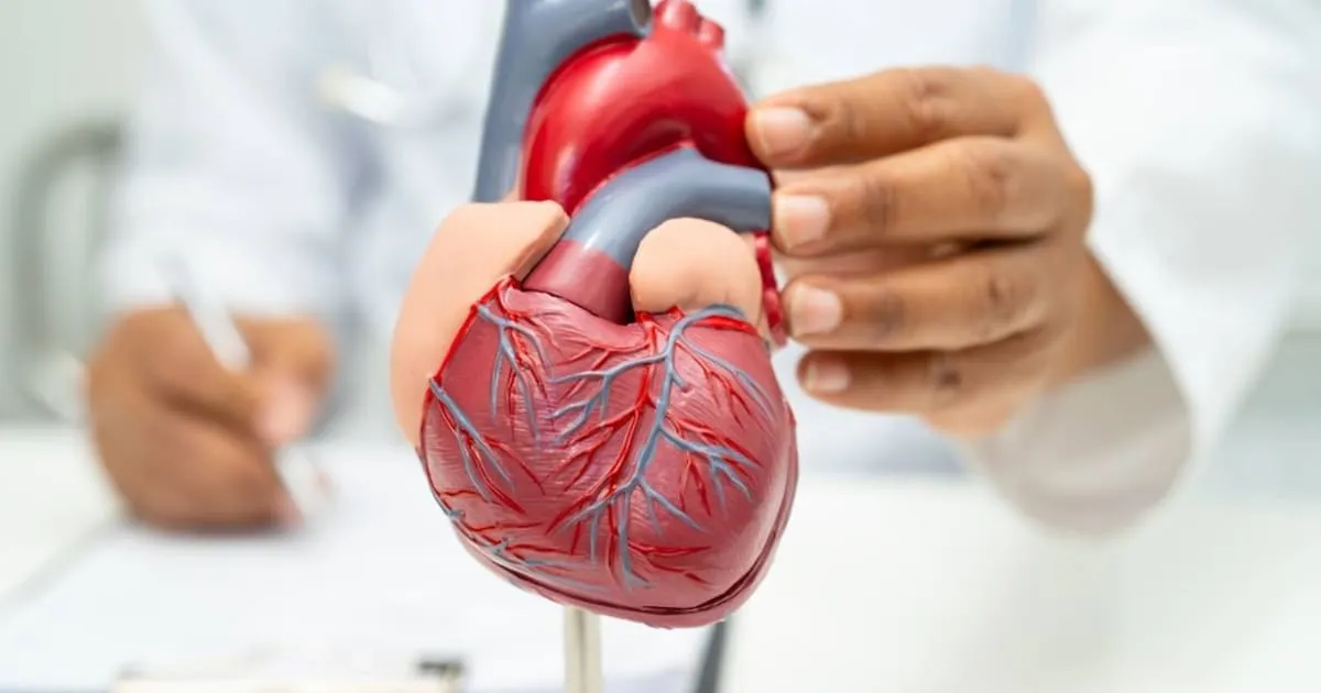 Traplopen: het supervoedsel van beweging voor ouderen